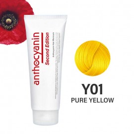 Anthocyanin Y01 Pure Yellow – Жовтий- 2