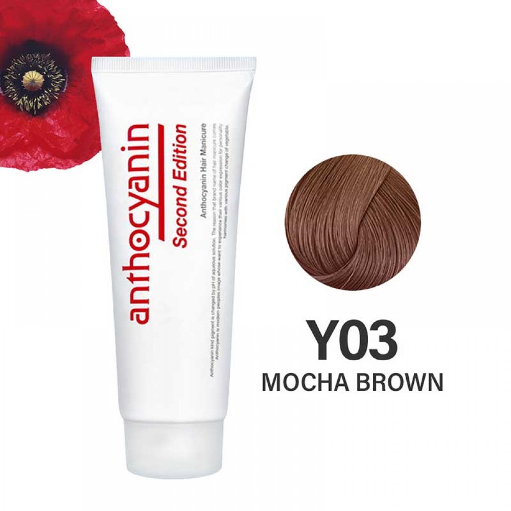Anthocyanin Y03 Mocha Brown – светло-каштановая краска для волос